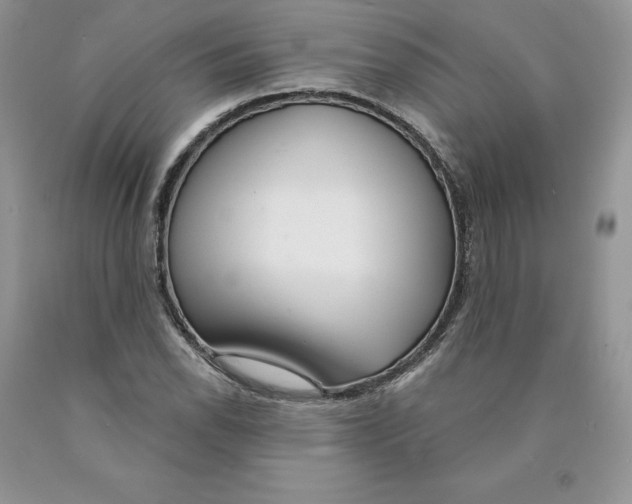 X0000089941118200707271812