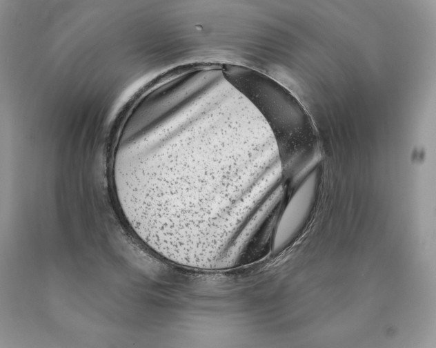 X0000089941120200707271813
