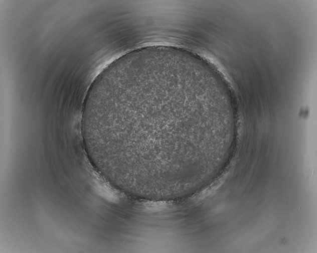 X0000089941121200707271813