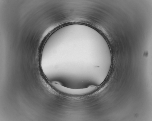 X0000089941122200707271813