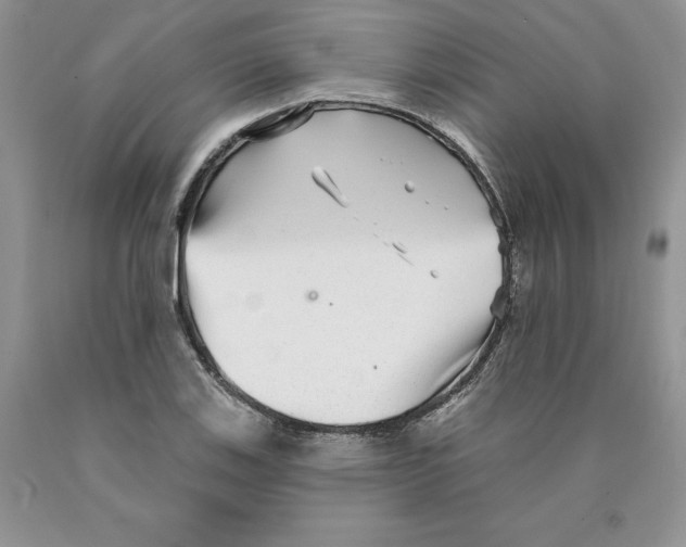 X0000089941123200707271813