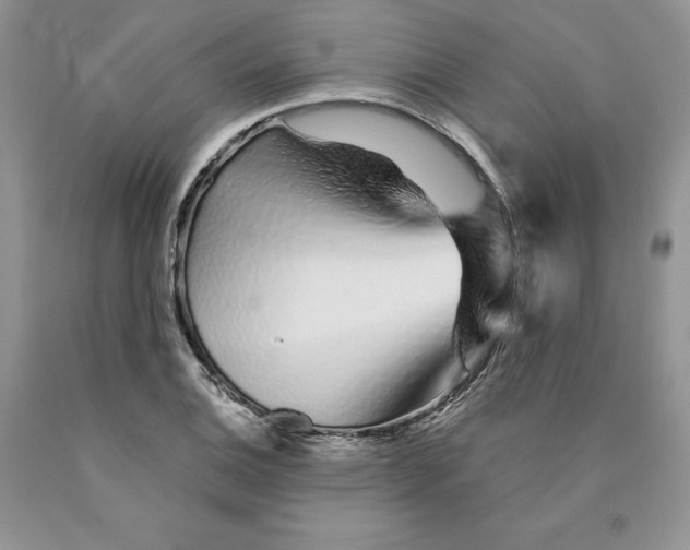 X0000089941124200707271813