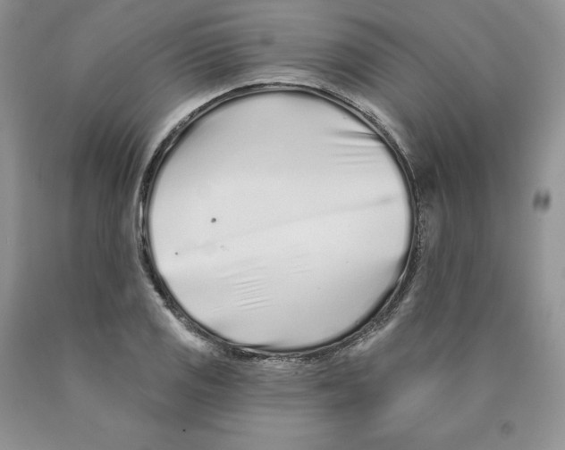 X0000089941125200707271813