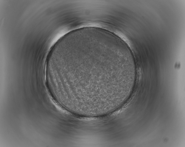 X0000089941127200707271813