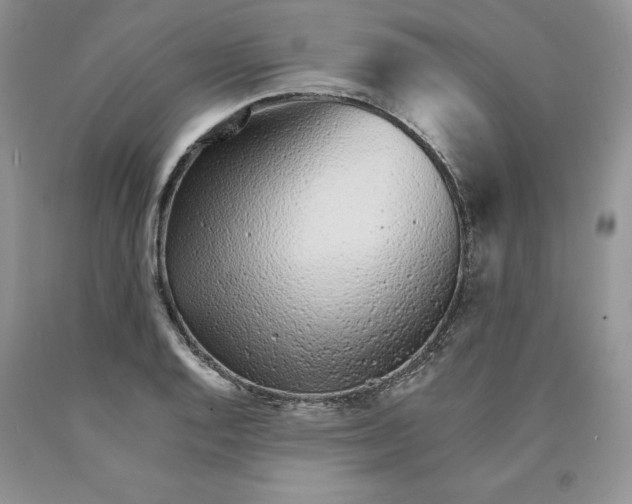 X0000089941128200707271813