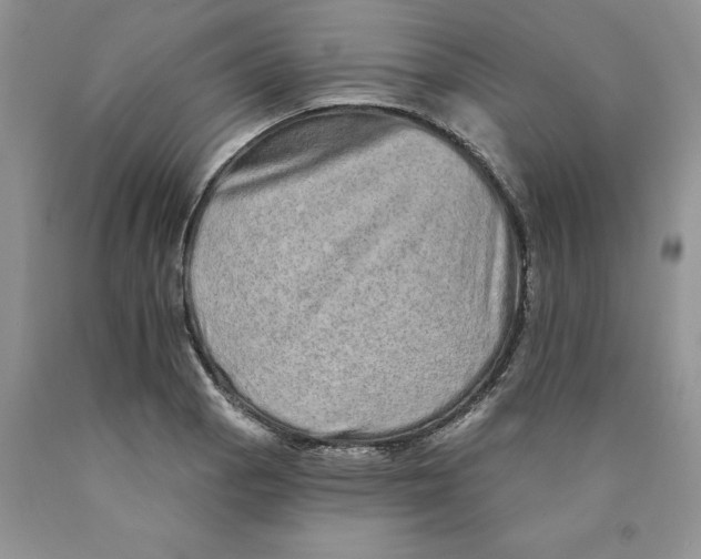 X0000089941129200707271813