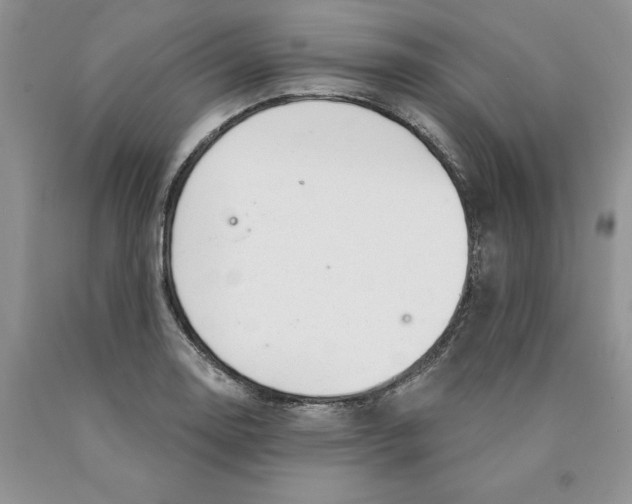 X0000089941130200707271813