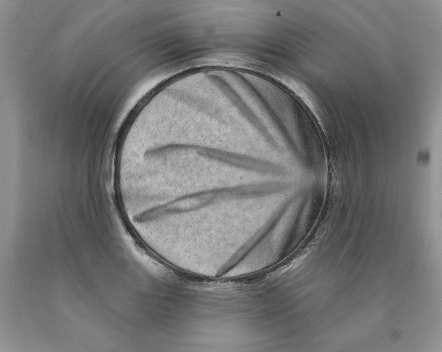 X0000089941131200707271813