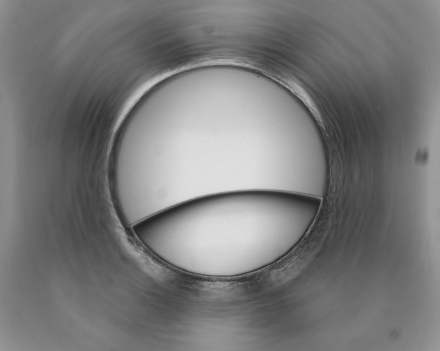 X0000089941132200707271813