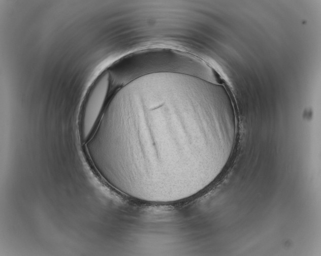 X0000089941133200707271813