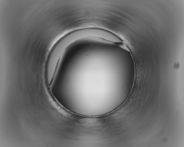 X0000089941134200707271813