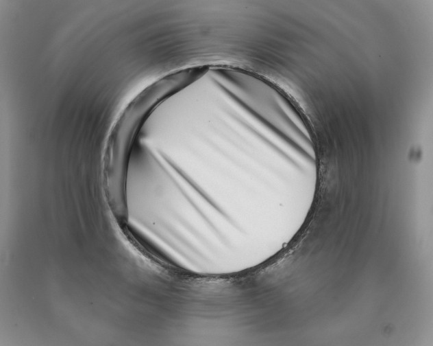 X0000089941135200707271813