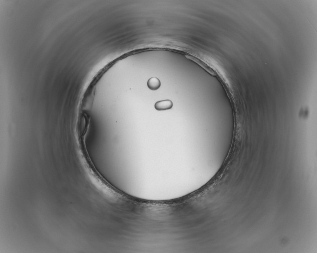 X0000089941136200707271813