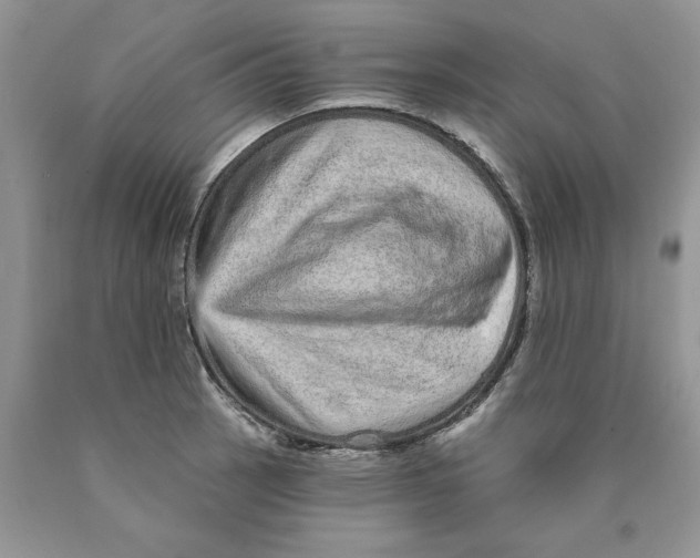 X0000089941137200707271813