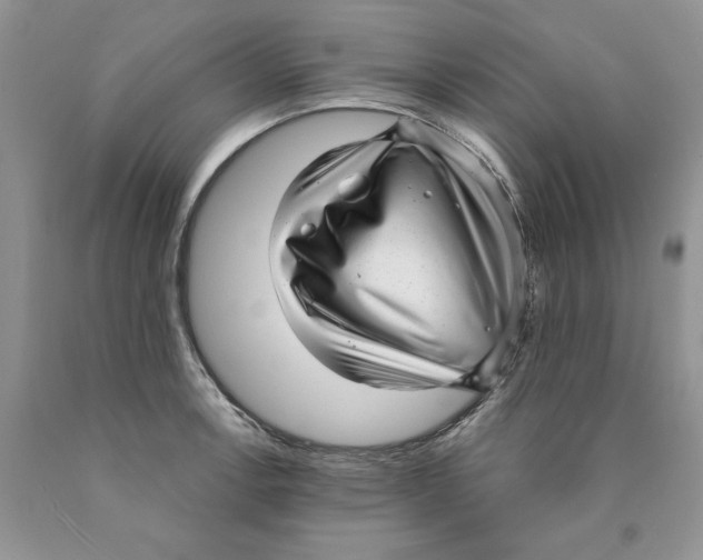 X0000089941138200707271813