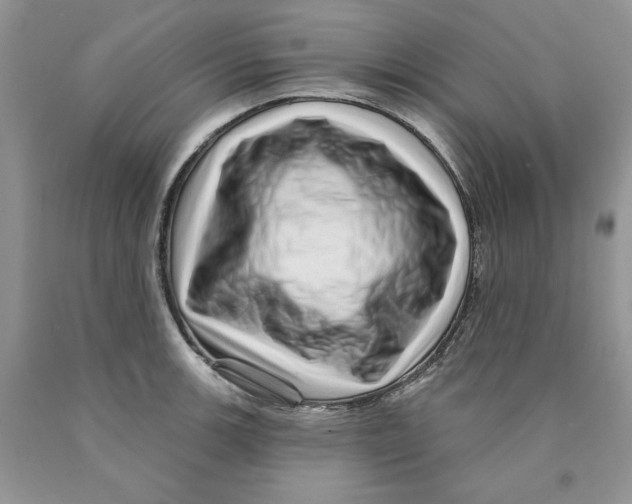 X0000089941139200707271813