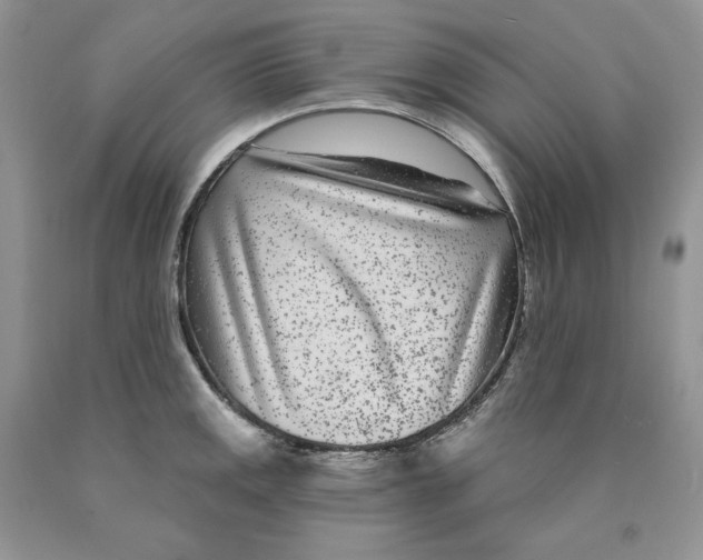 X0000089941141200707271813