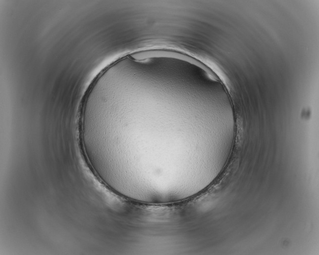 X0000089941142200707271813