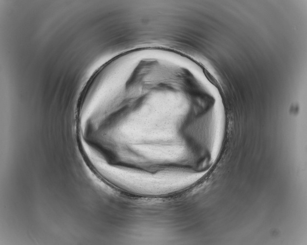 X0000089941143200707271813