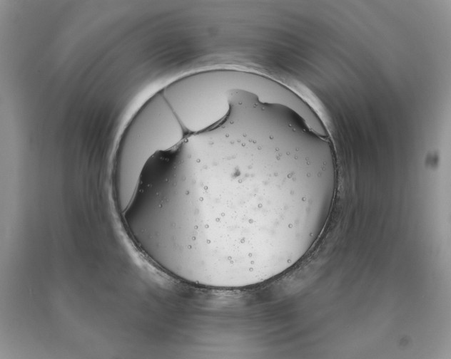 X0000089941144200707271813