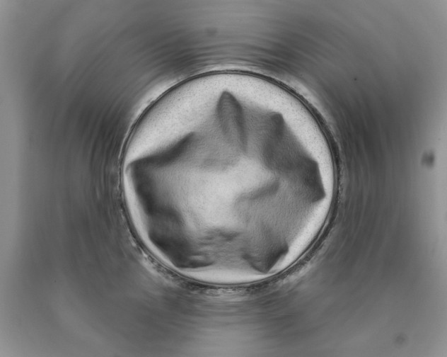 X0000089941145200707271813