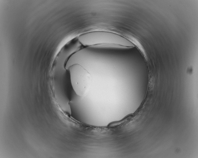 X0000089941146200707271813