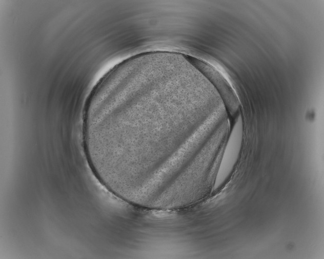 X0000089941147200707271813