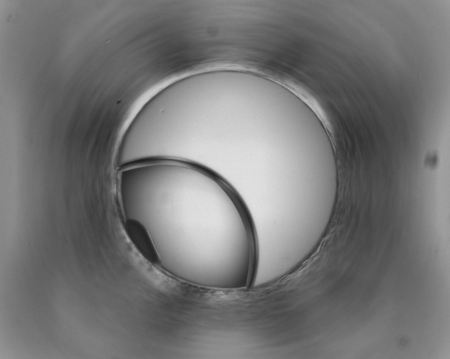 X0000089941148200707271813