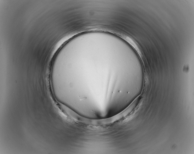 X0000089941149200707271813