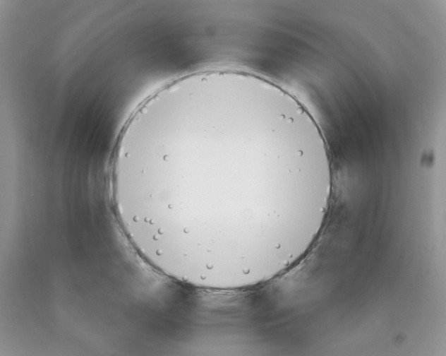 X0000089941150200707271813