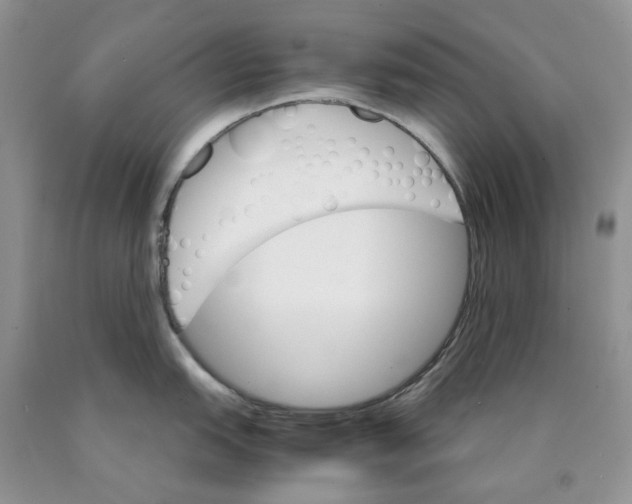 X0000089941151200707271813