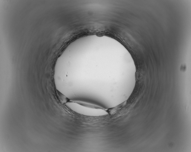 X0000089941153200707271812