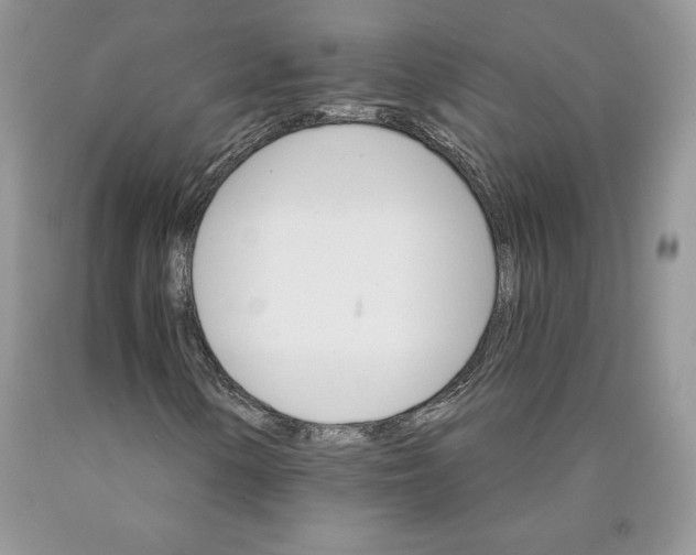 X0000089941154200707271812