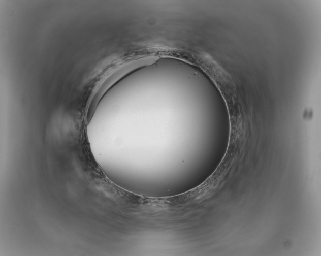 X0000089941157200707271812