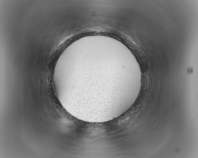 X0000089941158200707271812