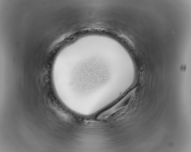 X0000089941159200707271812