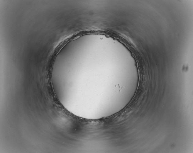X0000089941160200707271812