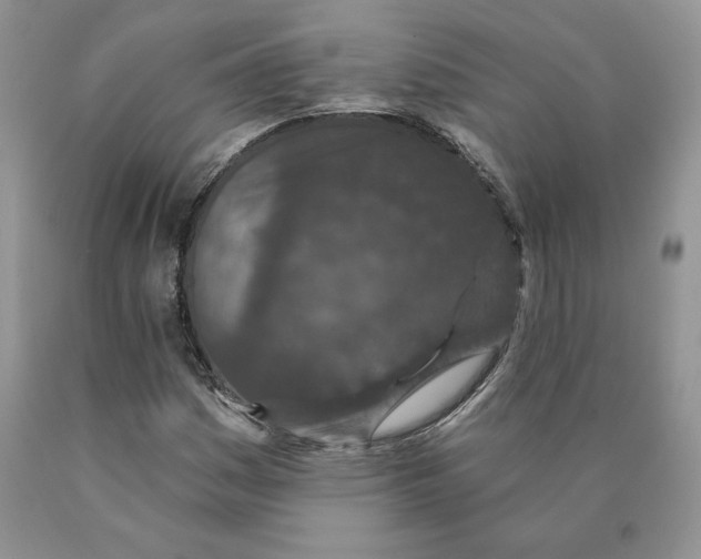 X0000089941161200707271812