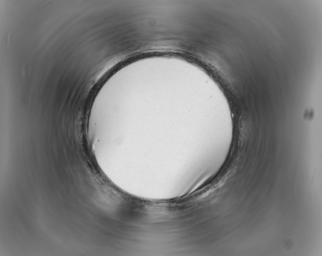 X0000089941162200707271812