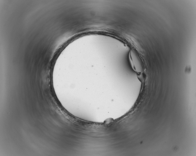 X0000089941164200707271812