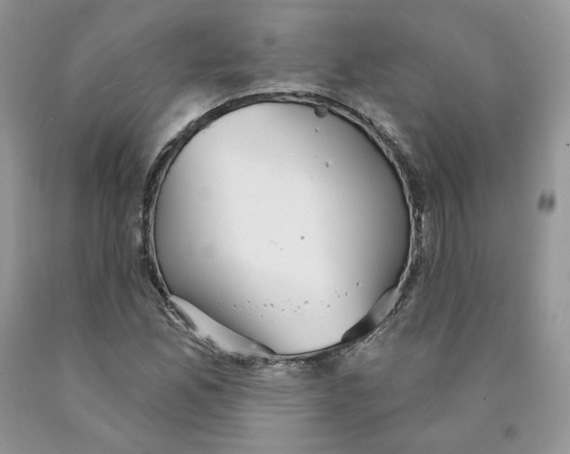 X0000089941165200707271812
