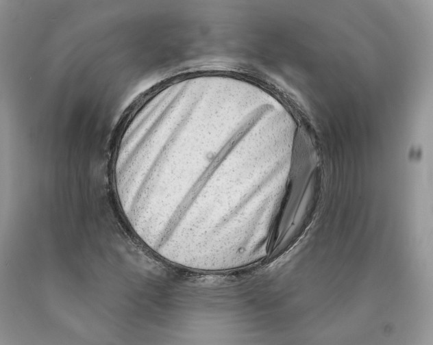 X0000089941166200707271812