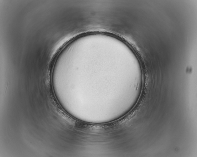 X0000089941167200707271812