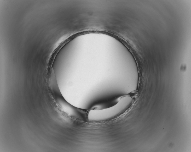 X0000089941168200707271812