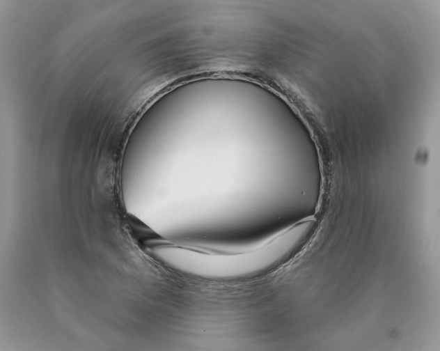 X0000089941169200707271812