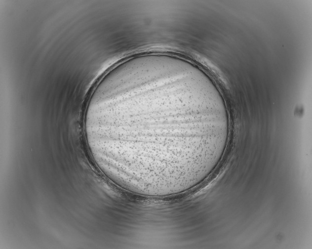 X0000089941170200707271812
