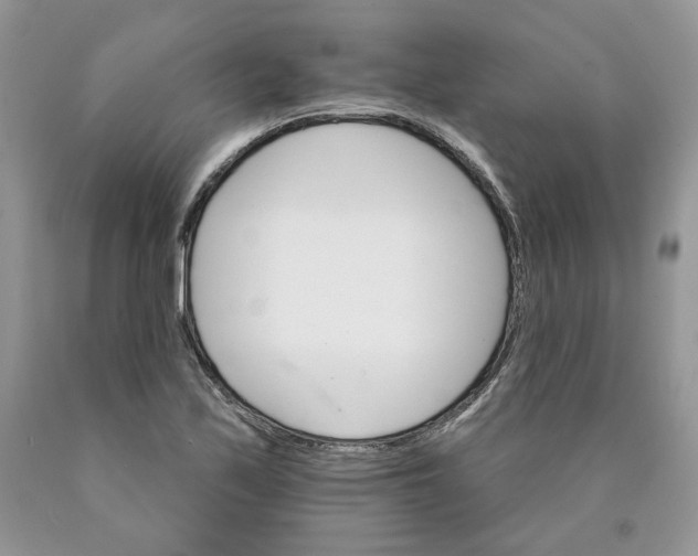 X0000089941171200707271812