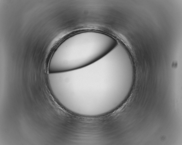 X0000089941172200707271812