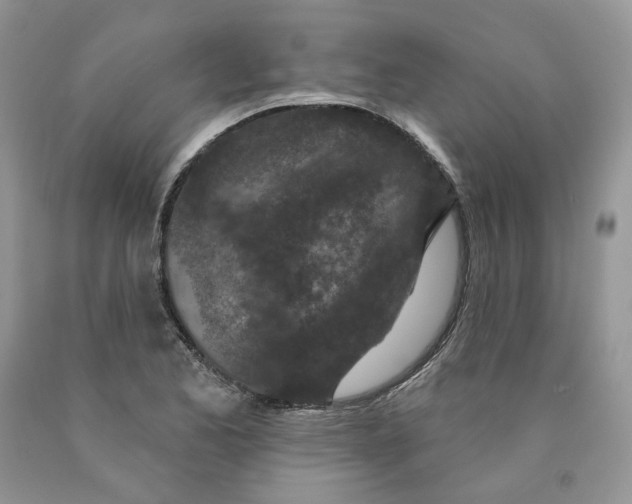 X0000089941173200707271812