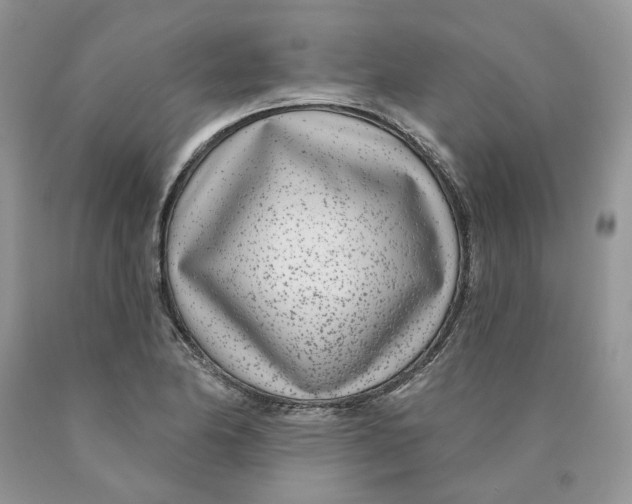 X0000089941174200707271812